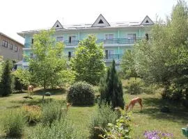 Green Hotel