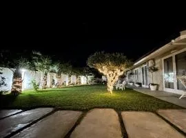 Amantea Monument, B&B in Terrasini
