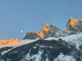 L'aiguille de L'M