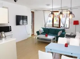 50m from Ski Piste 1 BR Apartment in Predela 2