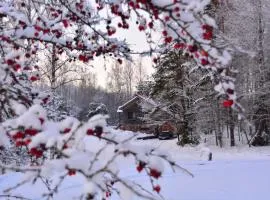 The Lake House "Ausatas"
