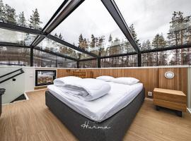 Levin Hurma, cottage in Levi