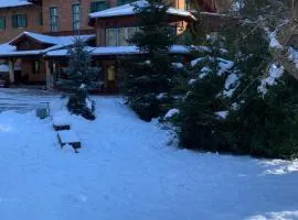 Sebesvi­z Panzió