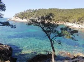 Petit coin de paradis.