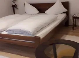 APARTMAN MILICA