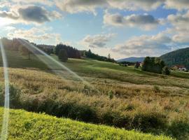 Le Cozy du Poli, Résidence Le Haut des Lacs, hotel in Xonrupt-Longemer