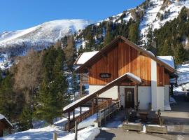 Bergheim Schmidt Ski-In Ski-Out Appartements Almhütten im Wald, khách sạn ở Turracher Hohe