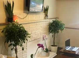 Quiet-comfy 3 bedroom home on a tree lined street in Kits