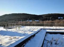 Chata nad Dziką Orlicą z jacuzzi