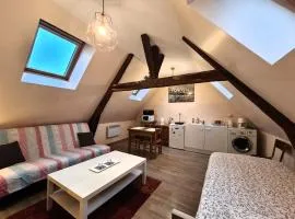 Le Studio - Appartement meublé tout confort Centre ville
