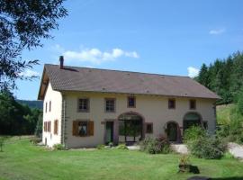 Gîte Taintrux, 5 pièces, 10 personnes - FR-1-589-232, villa in Taintrux