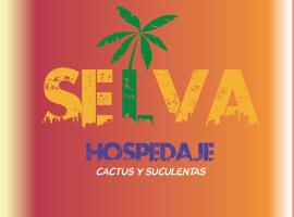 Selva Hospedaje โฮสเทลในบัลปาราอีโซ