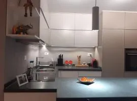 Lake View Apartment