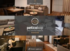 Apartman PETICA KOP A8 Kopaonik, serviced apartment in Kopaonik