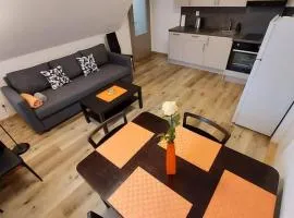 Apartmány Rudník Bolkov