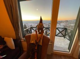 Pano Kopaonik Panorama