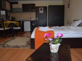Elza Apartment, pet-friendly hotel in Pamporovo