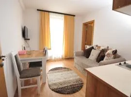 Kopaonik Apartman Sanja