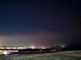 Spicy Beach Camp