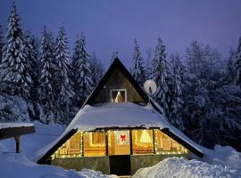 Planinska kuca ANDJELA 1, hotel in Mitrovac