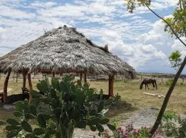Pachingo Tatacoa Desert