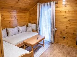 Apartmani Bor
