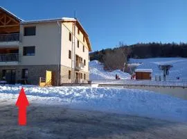 Appartement Les Vallons au pied des pistes