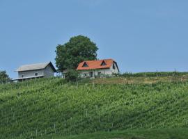 Vineyard Cottage Zdolsek, cabaña o casa de campo en Šmarje pri Jelšah