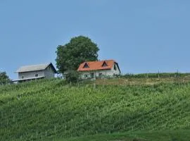 Vineyard Cottage Zdolsek