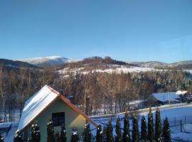 Agroturystyka u Rysia, Hotel in Kamienna
