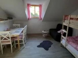 Apartmán v Bavorském lese 1