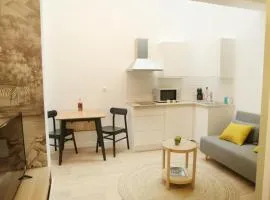 T2 avec verrière situé en hyper centre avec wifi, linge, draps, savons et serviettes fournis