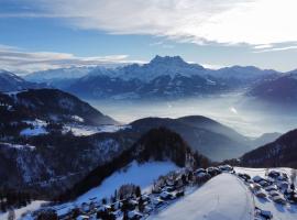 NEW! Private and alpine style double room at 500m to Ski Lifts and Leysin center, hotel i Leysin