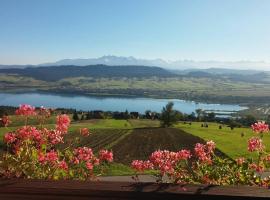 Pokoje u Chmielaków - Huba, farm stay in Maniowy