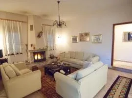 Elati Electra's Cozy House