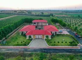 Desert Palms by StayVista in Kutch, nestled in orchards, features a swimming pool and a scenic balcony for a serene getaway