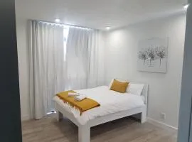 1 on albert Studio Apartments