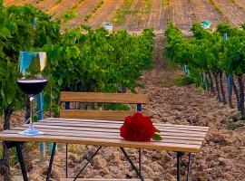 FINCA VALDELAJARA a 20 minutos de Puy du Fou, puhkemajutus sihtkohas Toledo