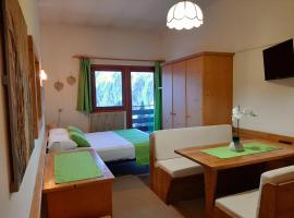 Casa AQ27 sulle piste da sci, hotel en Falcade