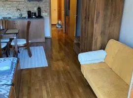 Bansko SPA Studio at Predela1