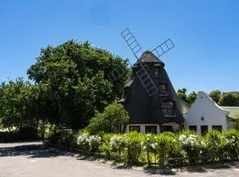 De Hollandsche Molen