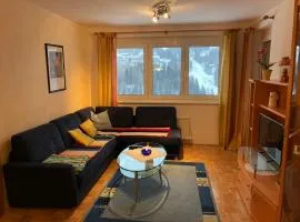 Ferienwohnungen direkt an der Skipiste