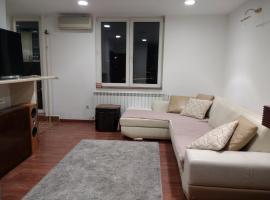 Cozy penthouse apartment with great view, apartman u Beogradu