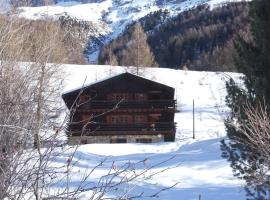 Chalet Singlinaz, шале в городе Циналь