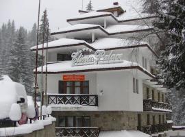 Elina Palace, pet-friendly hotel in Pamporovo