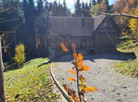 Starry Laz mountain house – domek wiejski w mieście Ravna Gora