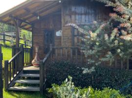 Acogedora cabaña de madera en la naturaleza para desconectarse, отель в городе Согамосо