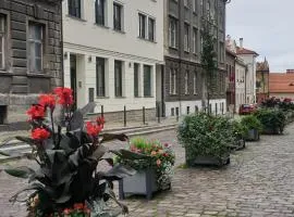 Apartamenty pod Katedrą