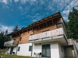 Apartma EVA Golte, hotel near Golte Ski Area, Mozirje