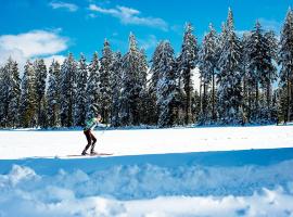 Spalona Apartament Jagodna, hotel cerca de Osmelakowa Dolina Ski Lift, Bystrzyca Kłodzka